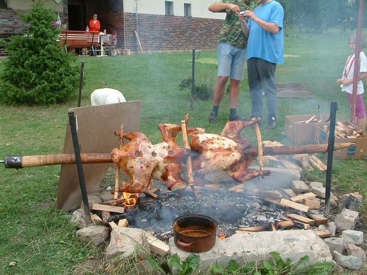 img00029.jpg