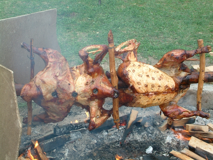 img00041.jpg