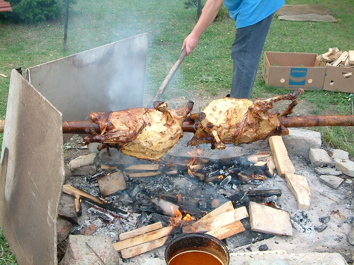 img00045.jpg