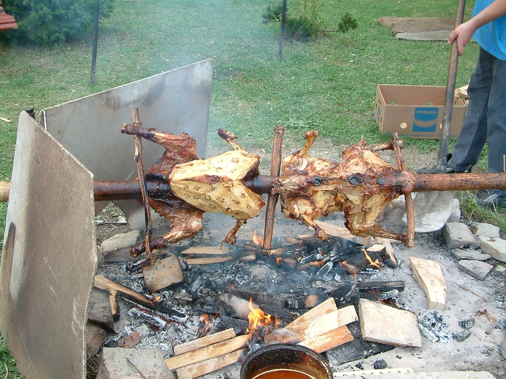 img00046.jpg