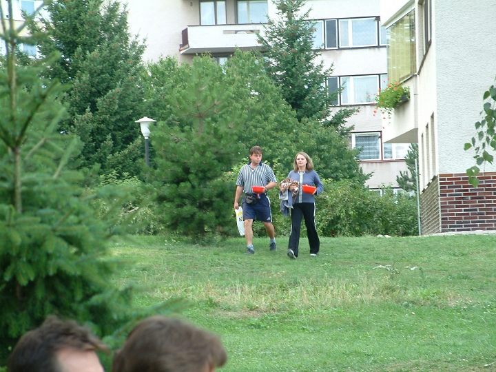 img00063.jpg