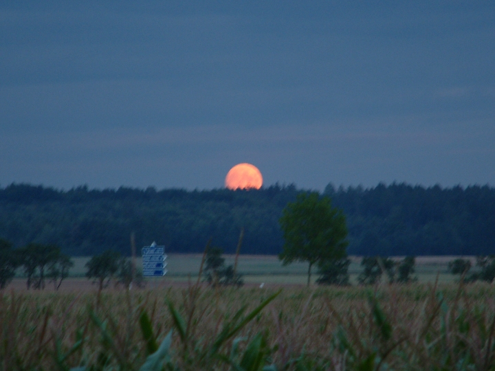 img00073.jpg