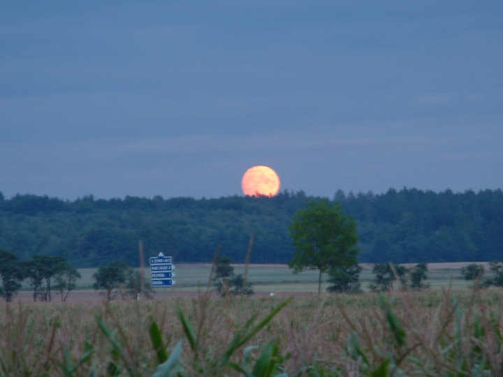 img00076.jpg