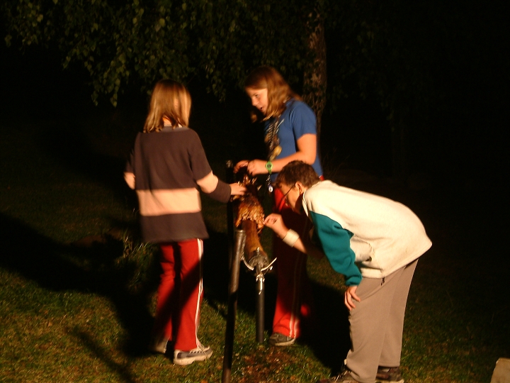 img00095.jpg