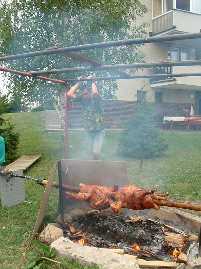 img00107.jpg