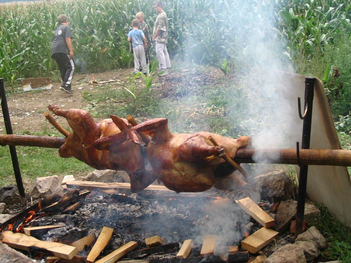 img00123.jpg