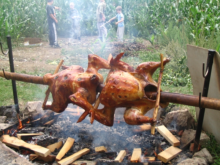 img00124.jpg