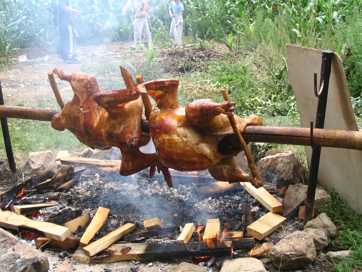 img00125.jpg