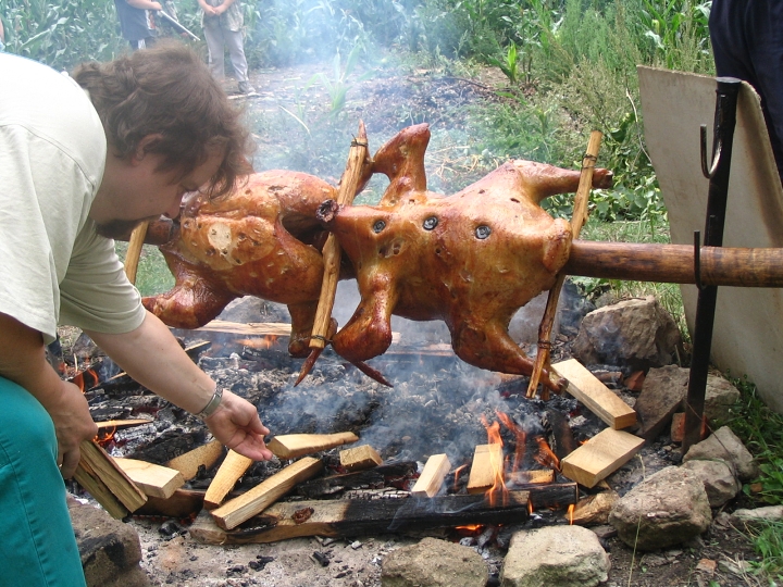 img00126.jpg