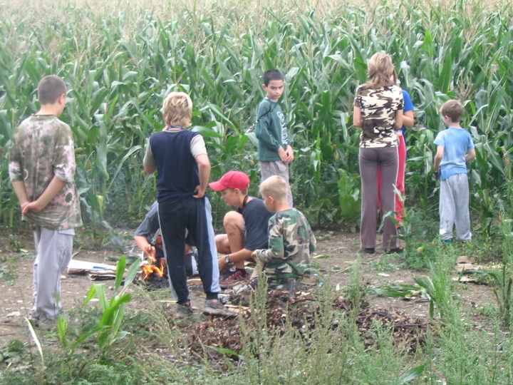 img00127.jpg