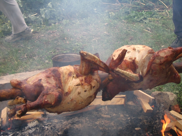 img00132.jpg