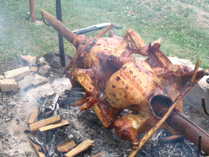 img00133.jpg