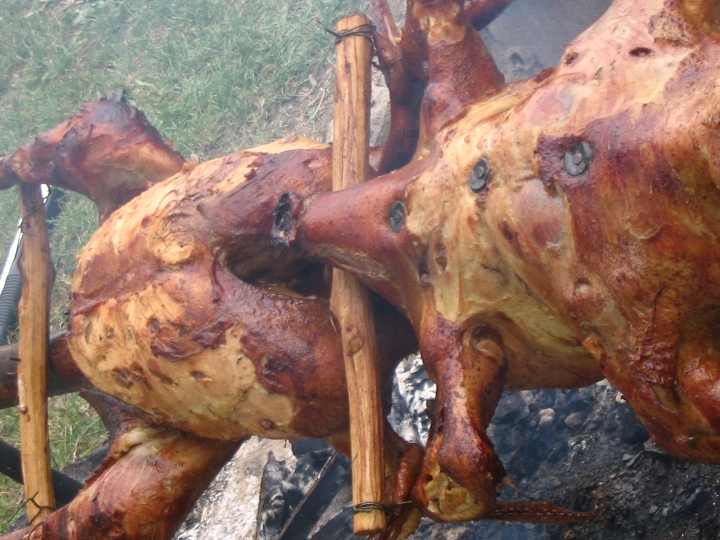 img00134.jpg