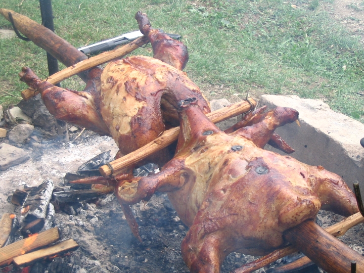 img00135.jpg