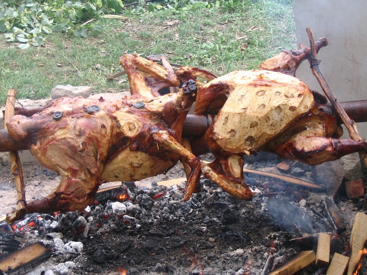 img00138.jpg