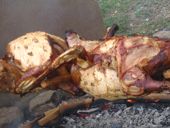 img00139.jpg