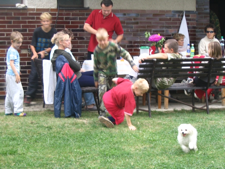 img00144.jpg