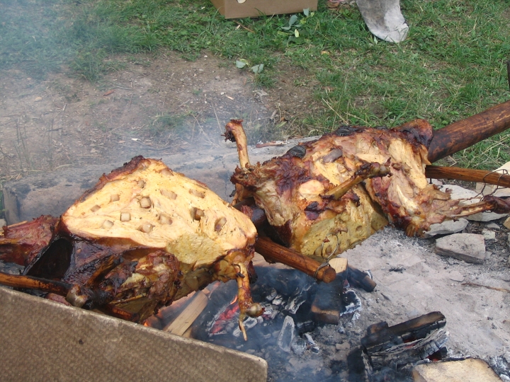 img00159.jpg
