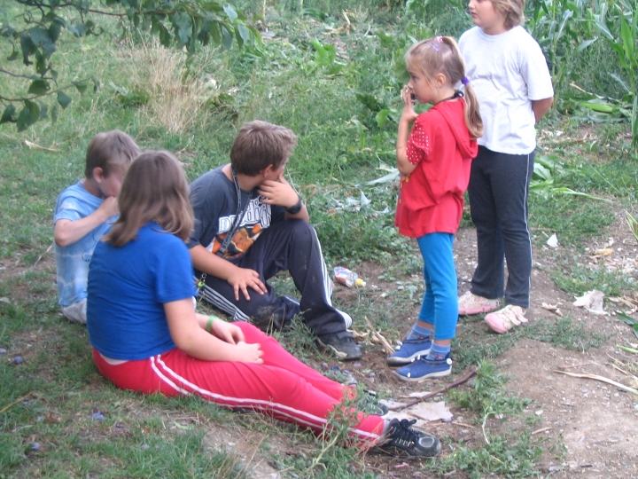 img00165.jpg