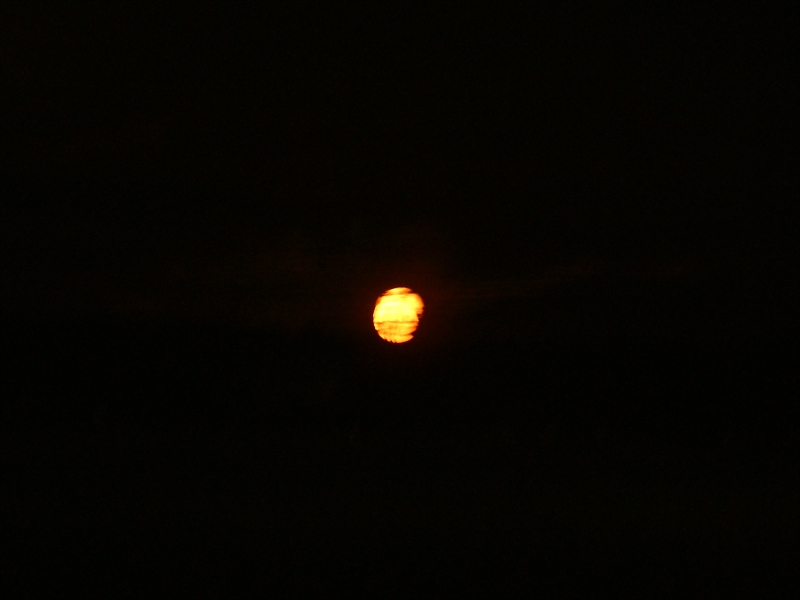 3.7.2004