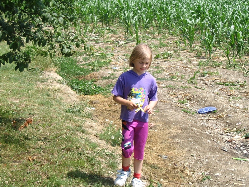 3.7.2004