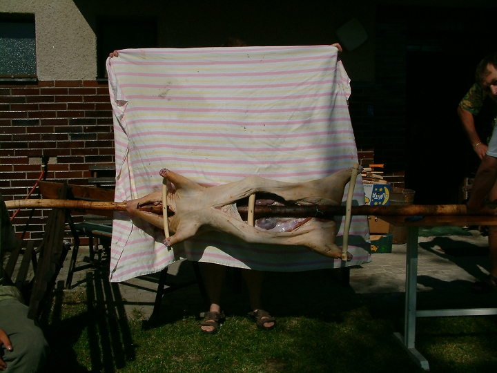 img00006.jpg