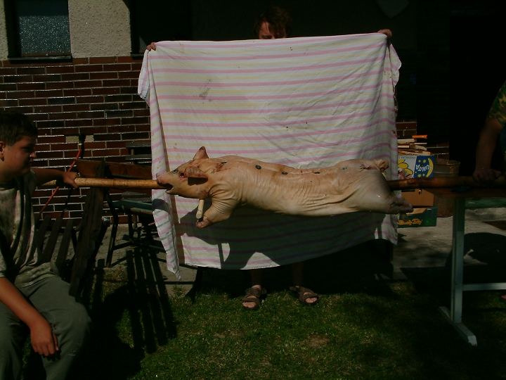 img00008.jpg