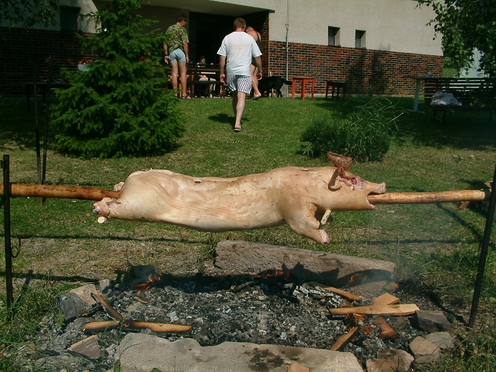 img00009.jpg