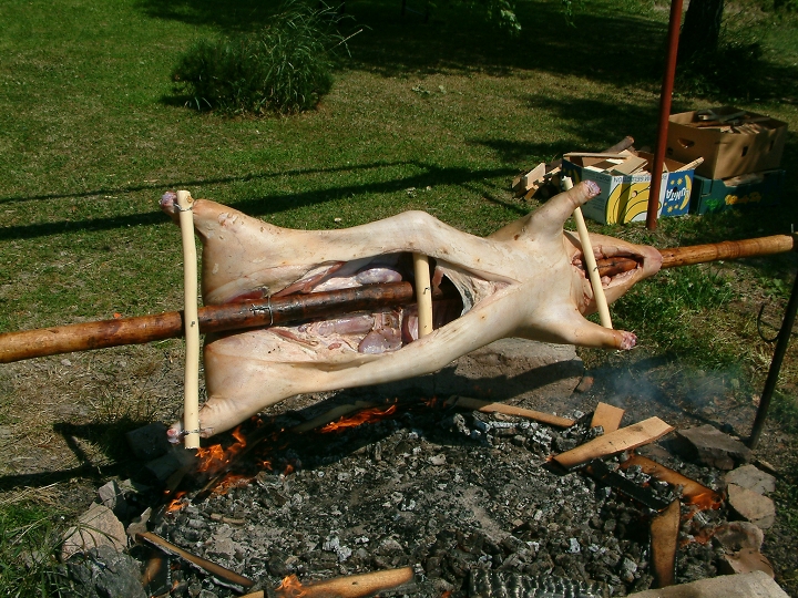 img00010.jpg