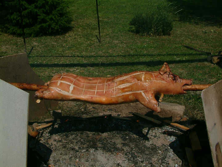 img00011.jpg