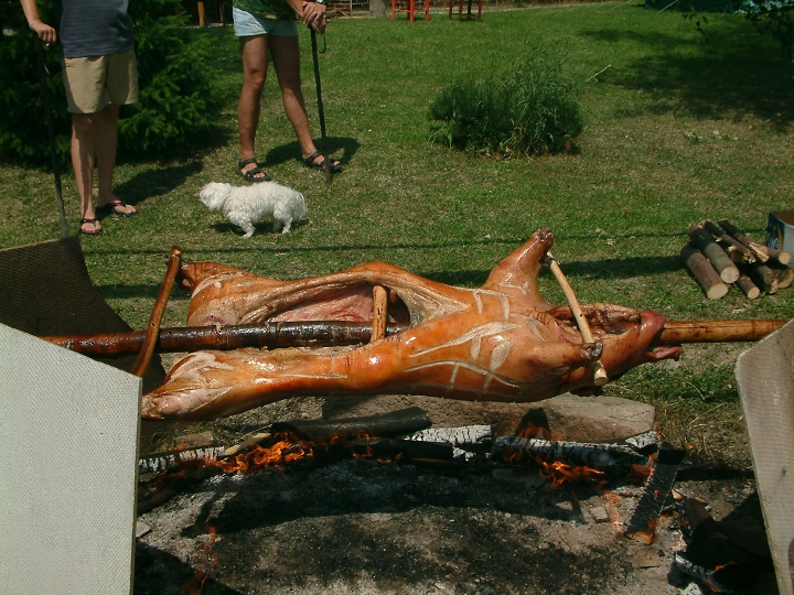 img00014.jpg