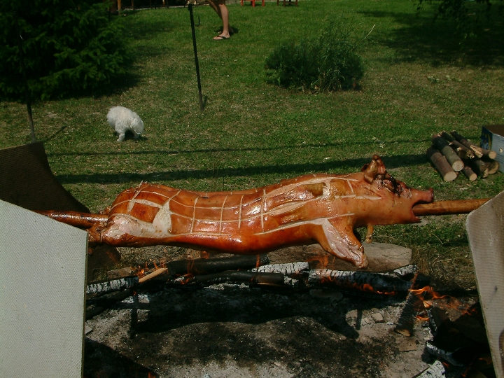 img00015.jpg