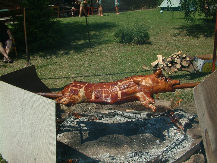 img00021.jpg