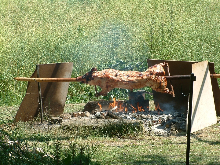 img00027.jpg