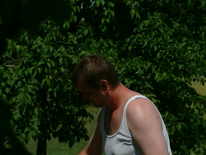 img00029.jpg