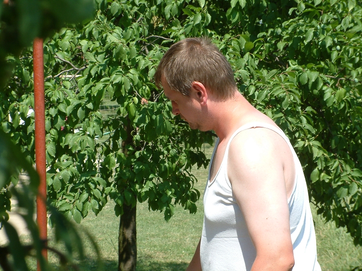 img00030.jpg