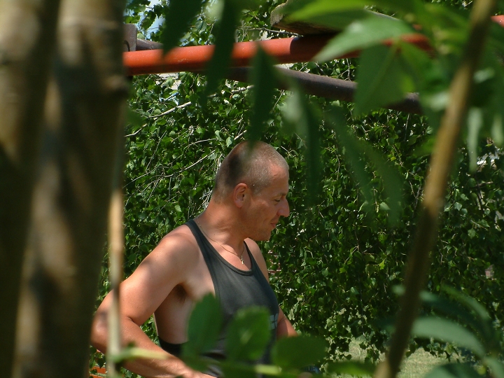 img00031.jpg