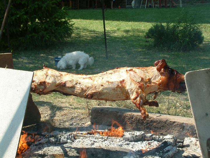img00035.jpg