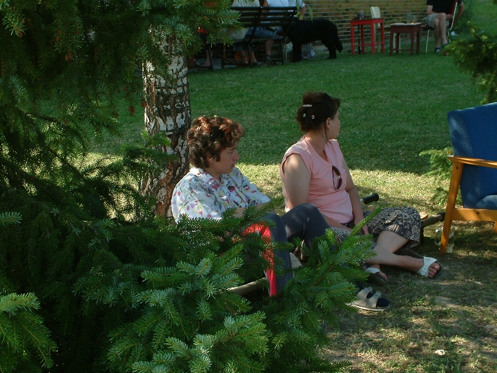 img00038.jpg