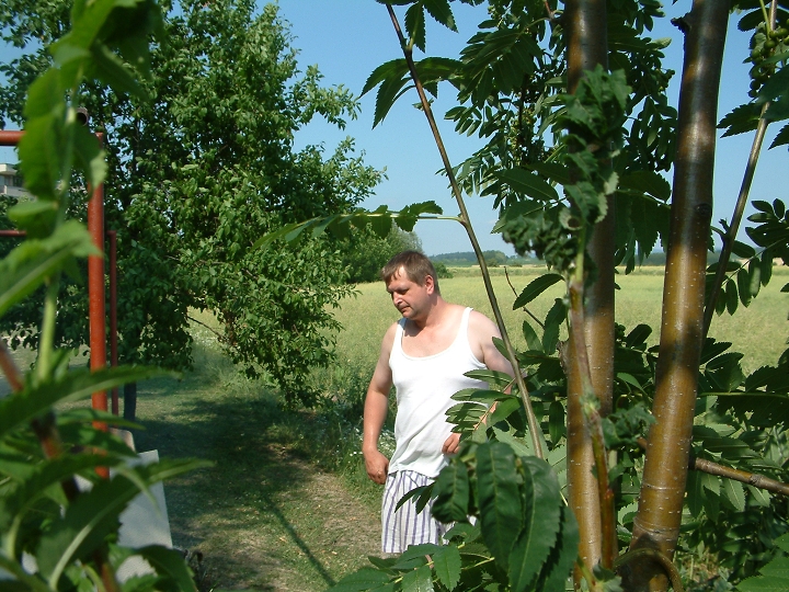 img00044.jpg