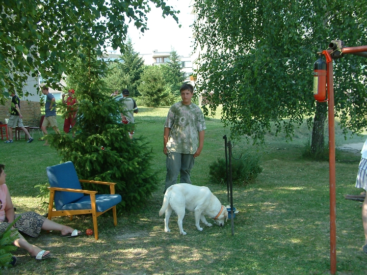 img00046.jpg
