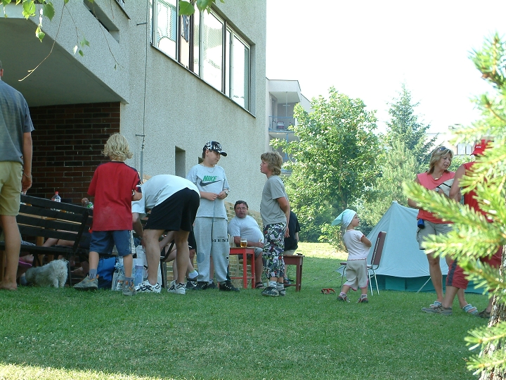 img00052.jpg